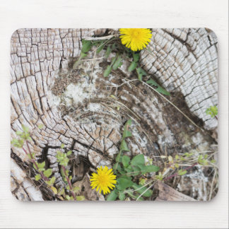 Dandelions still-life mouse pad