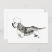 Dandie Dinmont Terrier (Front/Back)