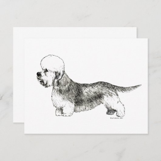 Dandie Dinmont Terrier (Front/Back)