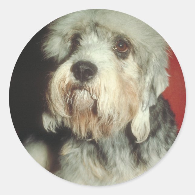 Dandie Dinmont Terrier Classic Round Sticker (Front)