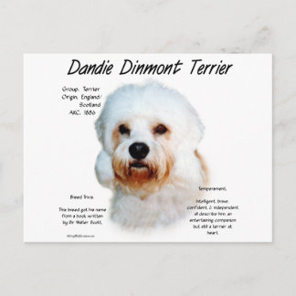 Dandie Dinmont Terrier History Design Postcard