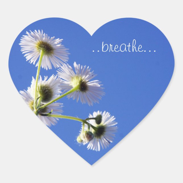 Dandilion"Breathe" Sticker (Front)