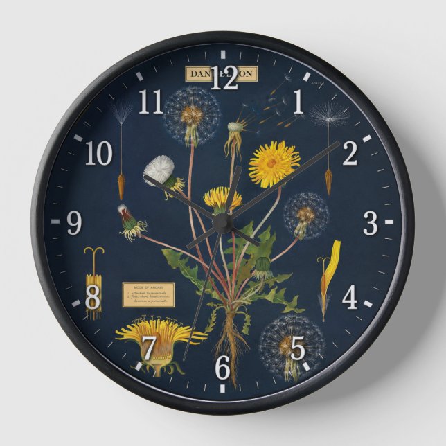 Dandilions - Bontanical Clock (Front)