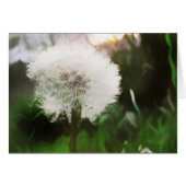 dandy dreams card (Front Horizontal)