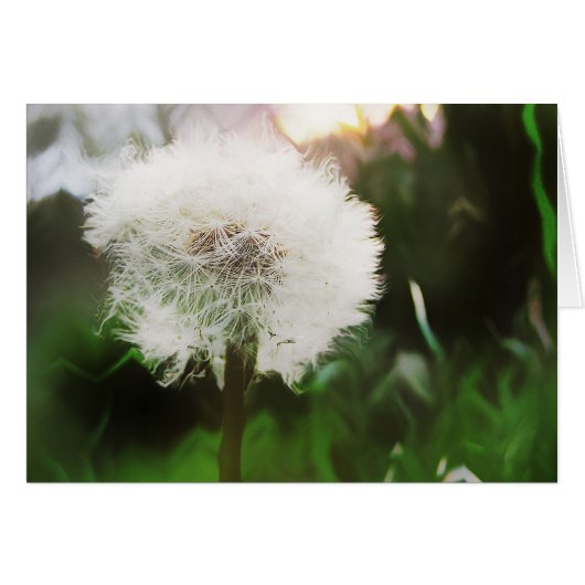 dandy dreams card (Front Horizontal)