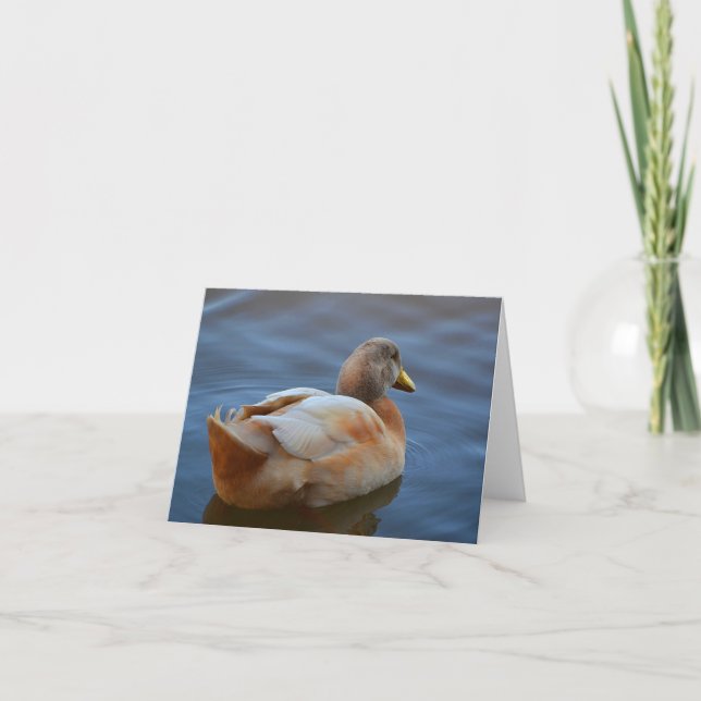 Dandy Duck Note Card (Front)