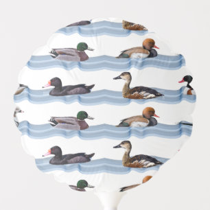 Dandy Ducks Balloon (choose colour)
