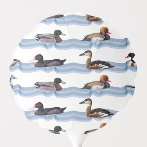 Dandy Ducks Balloon choose colour