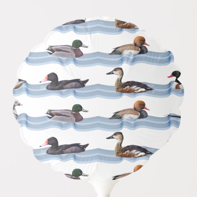 Dandy Ducks Balloon (choose colour) (Front)