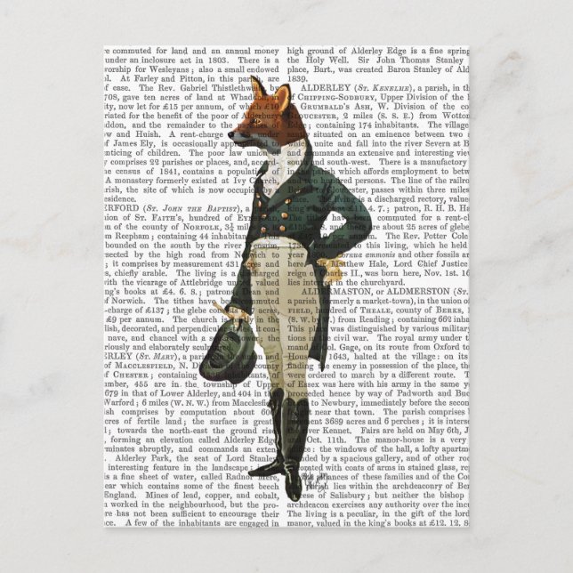Dandy Fox Full 2 Postcard (Front)