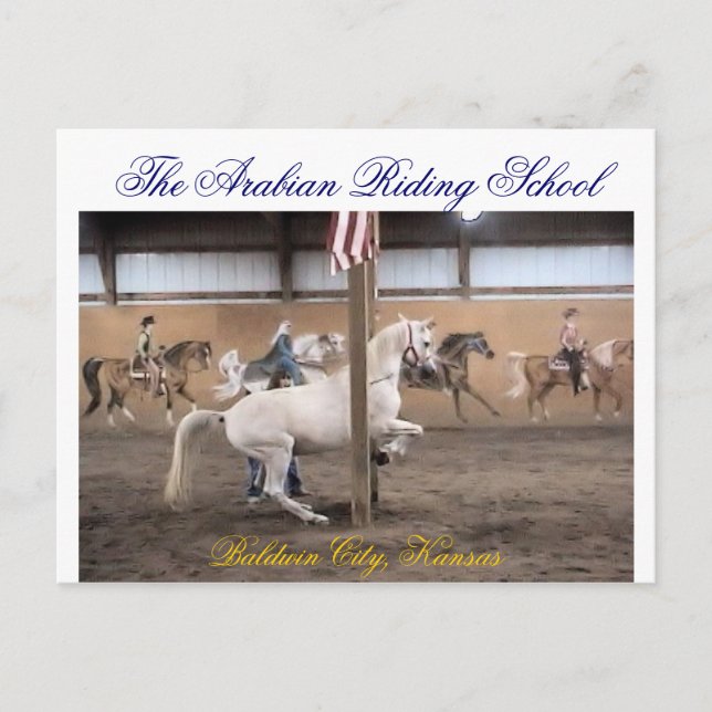 Dandy, Levade Postcard (Front)