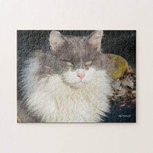 Dandy Lion Jigsaw Puzzle