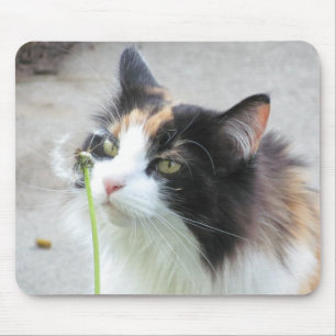 Dandy "Lion"? Mouse Pad