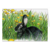 DANDY LIONS (Front Horizontal)