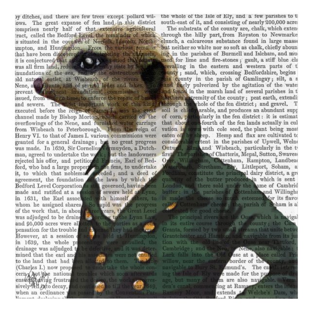 Dandy Meerkat Portrait Acrylic Print (Front)