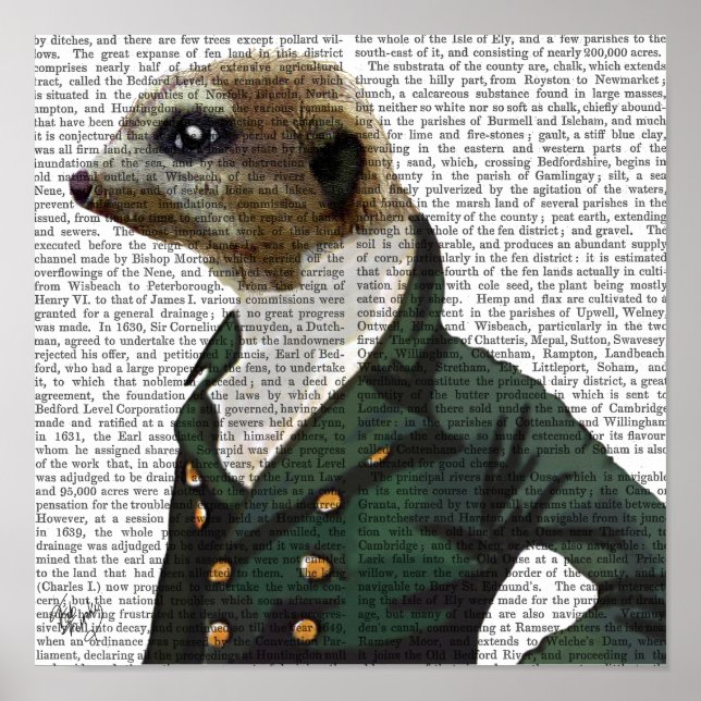 Dandy Meerkat Portrait Poster (Front)