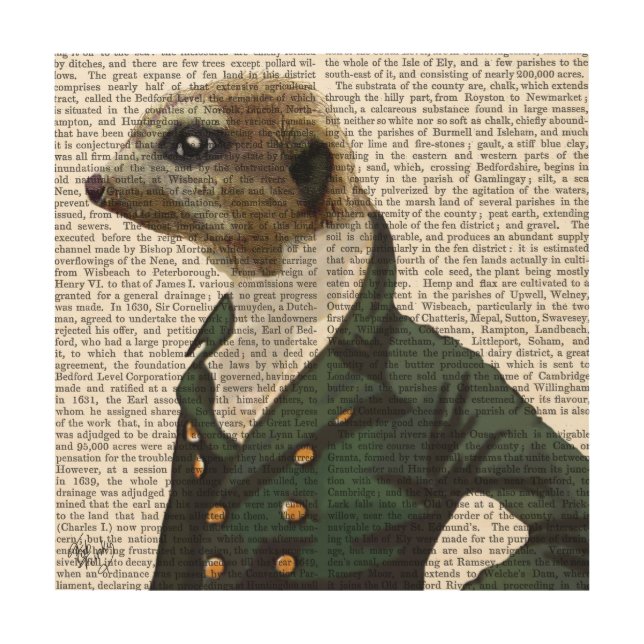 Dandy Meerkat Portrait Wood Wall Art (Front)