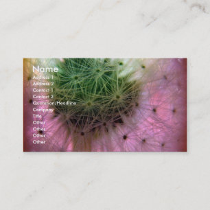 Dandy Seeds Business Card
