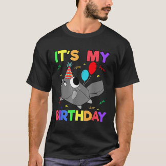 Dandys World Pebble Birthday Decoration For Kids B T-Shirt