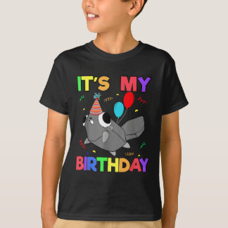 Dandys World Pebble Birthday Decoration For Kids B T-Shirt