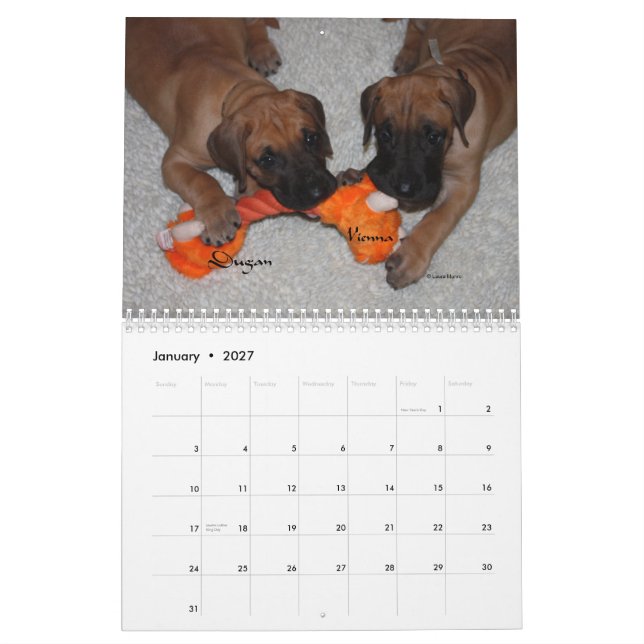 Dane Affaire - 2012 Puppies Calendar (Jan 2027)