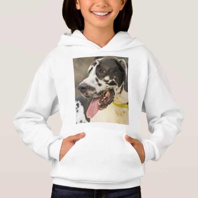 Dane Hoodie (Front)
