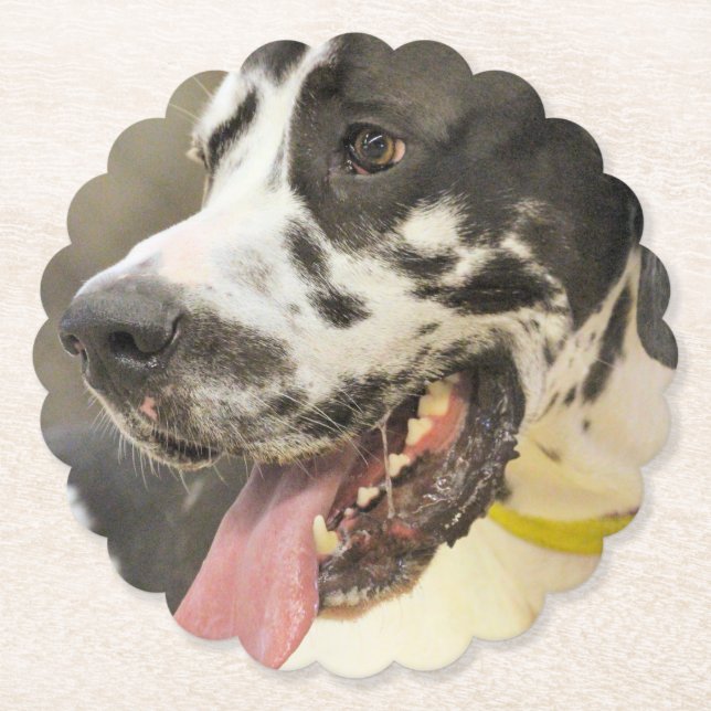 Dane Paper Coaster (Front)