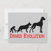 Danes Evolution (Front)