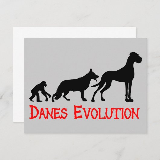 Danes Evolution (Front/Back)