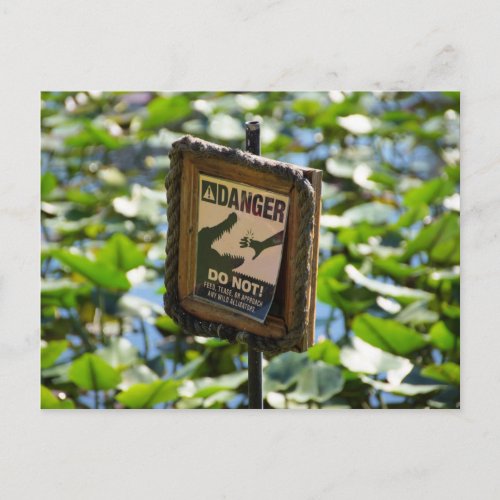 Danger alligator postcard