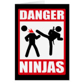 Danger Ninjas (Front)