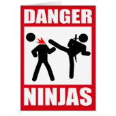 Danger Ninjas (Front)
