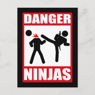 Danger Ninjas Postcard