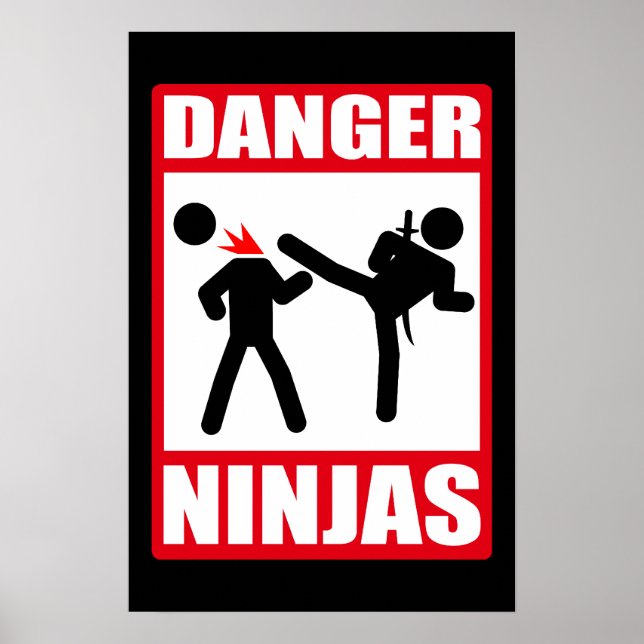 Danger Ninjas Poster (Front)