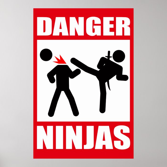 Danger Ninjas Poster