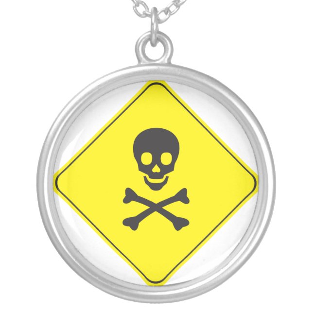 DANGER - SKULL AND BONES SYMBOL SILVER PLATED NECKLACE (Front)