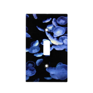 Dangerous Beauties Light Switch Cover