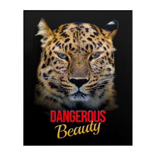 Dangerous Beauty Leopard Wall Art – 16x20 Acrylic