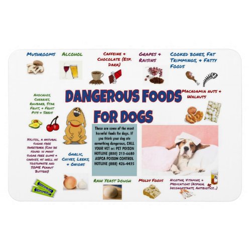 Dangerous Foods for Dogs Refrigerator Magnet