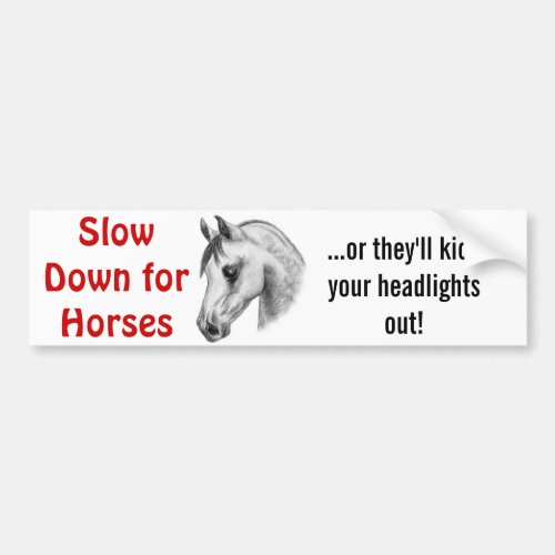 dangerous horses bumper sticker