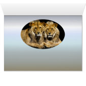 Dangerous Predator Lions Cards (Inside Horizontal (Bottom))
