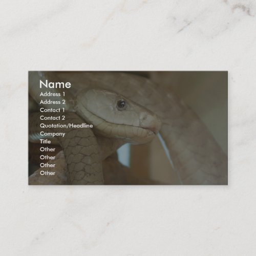 Dangerous Snake On The Tree Business Card Templates