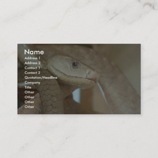 Customizable Dangerous Snake On The Tree Business Card Templates
