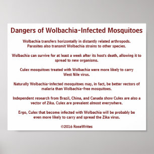 Dangers of Wolbachia Mosquitoes by RoseWrites Poster