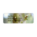 Dangling Orchid  Mailing Labels