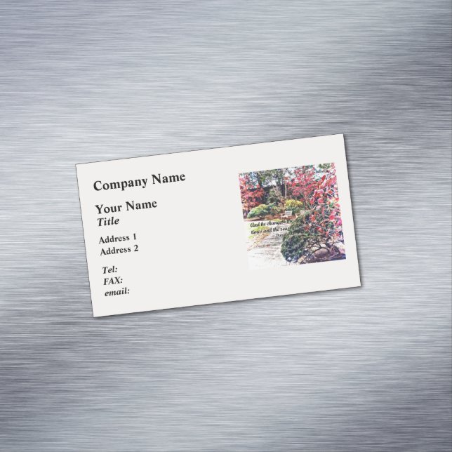 Daniel 2:21 - And he Changeth Magnetic Business Card (In Situ)