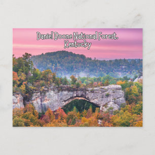 Daniel Boone National Forest Kentucky Postcard