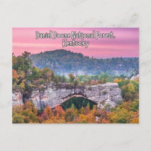 Daniel Boone National Forest Kentucky Postcard