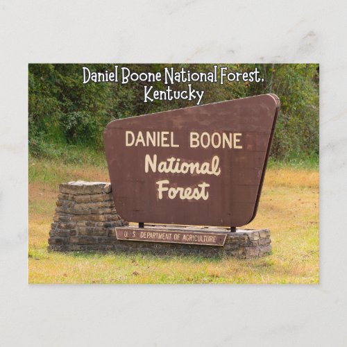 Daniel Boone National Forest Kentucky Postcard