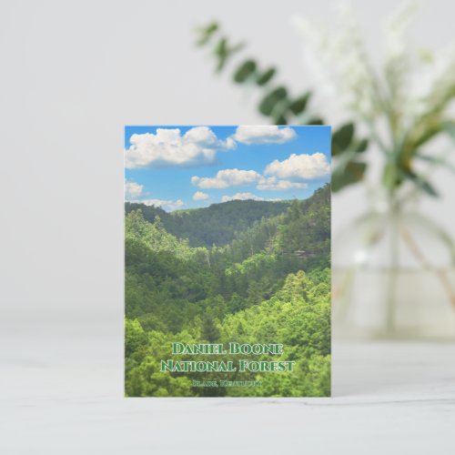 Daniel Boone National Forest Overlook Kentucky Postcard